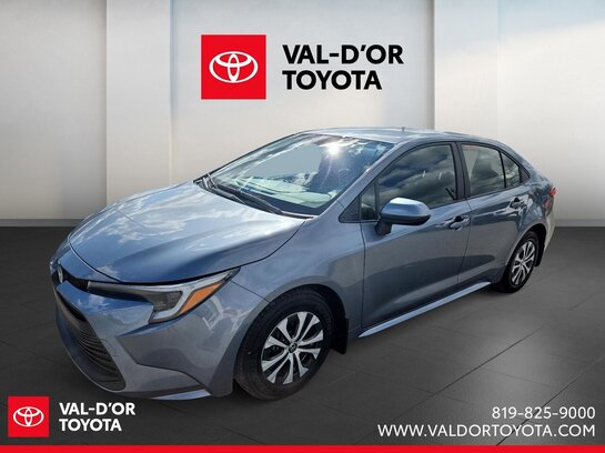 Toyota Corolla hybride LE 2024 2024 Gris